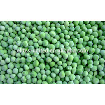 Chinese IQF frozen green pea
